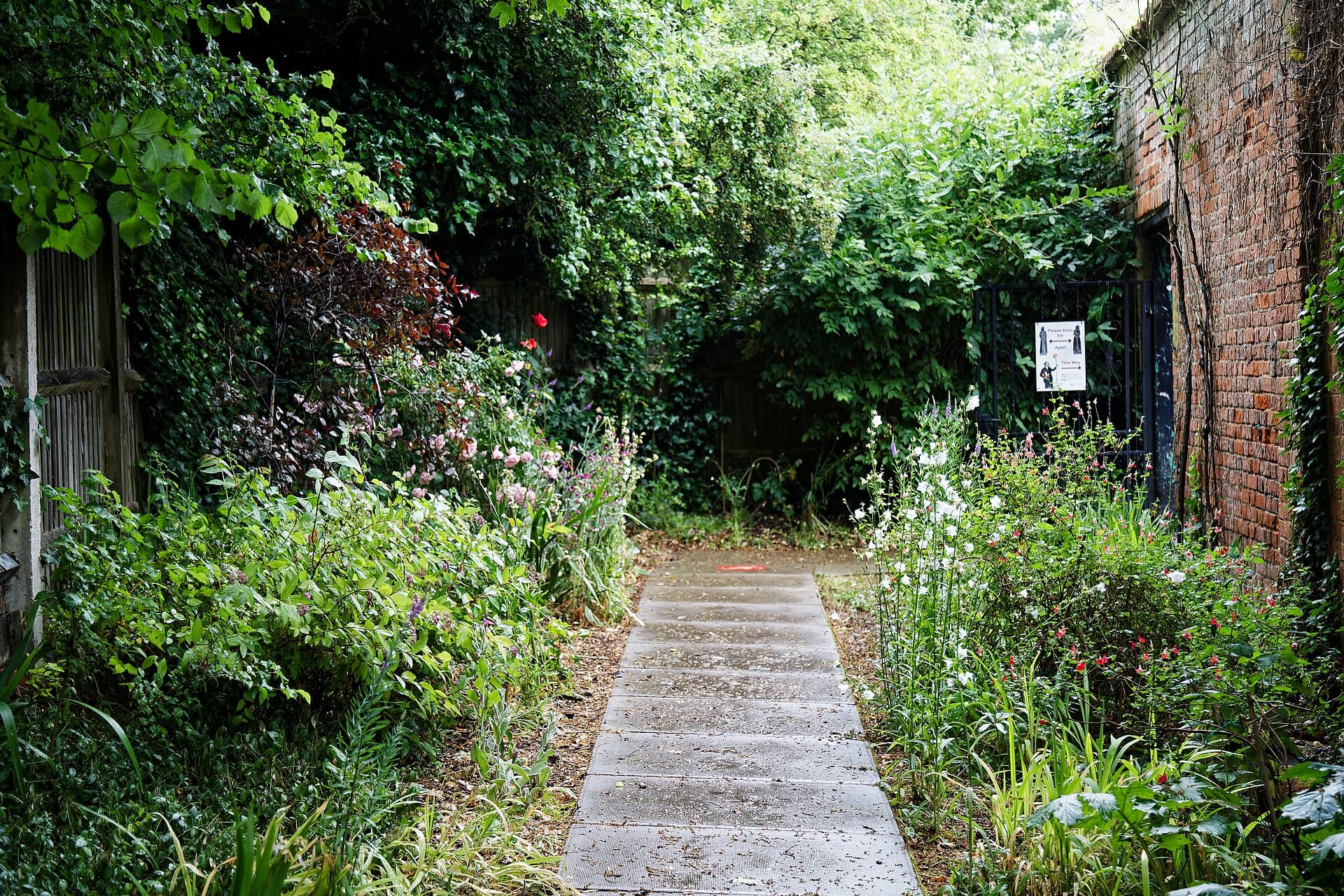 Tuin vóór de aanleg door Onink Tuinen & Infra